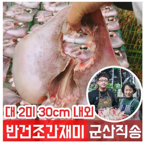 국내산자연산 반건조 손질 간재미 250g13팩 무료 업그레이드 혜택을 지금 바로 받으세요