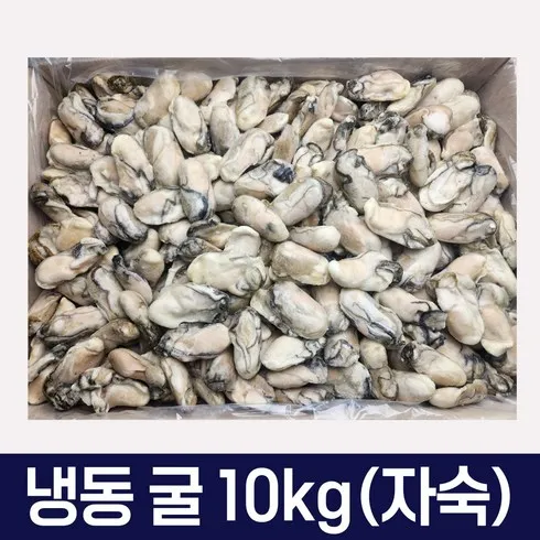 통영 냉동굴 6팩 오늘만! 파격 할인가에 제공